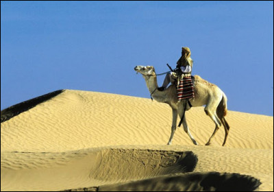 Étant capable de s'adapter à la chaleur et à la sécheresse, le dromadaire est utilisé par l'homme pour se déplacer dans les régions désertiques, surtout au Proche-Orient, ce qui lui a valu l'appellation de...