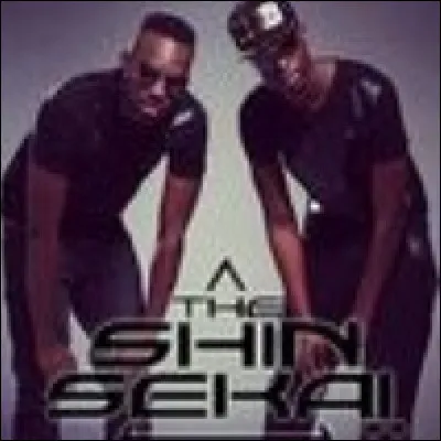 Retrouver les chansons interprétées par The Shin Sekaï. (Plusieurs choix possibles)