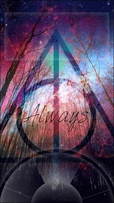 Quelle est ta baguette préférée ?