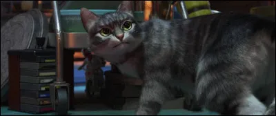 Quel est le nom de ce chat errant dans la boutique d'antiquités ?