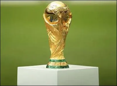 Qui va organiser la Coupe du Monde de football en 2022 ?