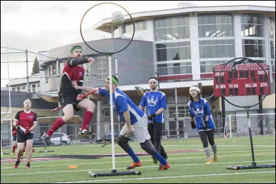 Quel est ton poste préféré au quidditch ?