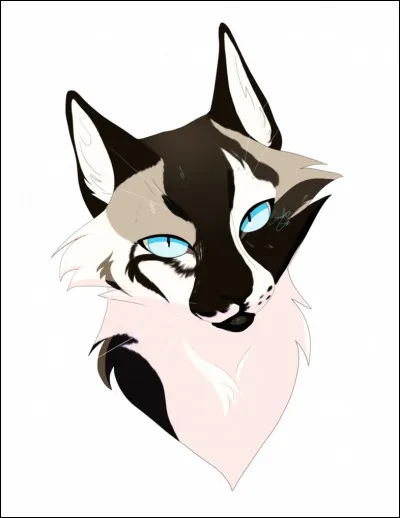 Lors d'une assemblée qui révèle le secret de Poil d'Écureuil, il de Geai et lui ?