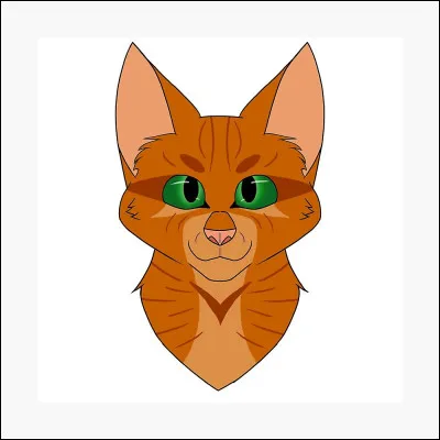 Quelle est sa particularité ?