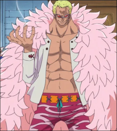 Quel royaume l'ancien grand corsaire Don Quichotte Doflamingo a-t-il pris par la force avant d'être vaincu par Luffy ?