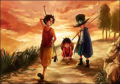 Quelles lettres étaient inscrites sur le drapeau pirate de Sabo, Luffy et Ace quand ils étaient petits ?