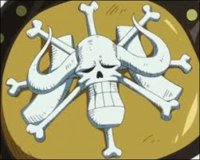 Combien de membres compte l'équipage rapproché de Kaido ? (Kaido y compris)