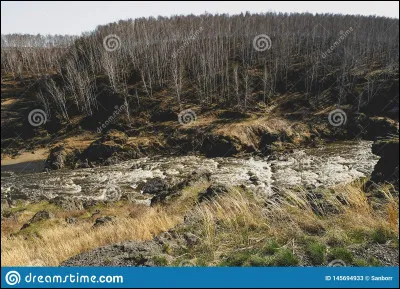 À qui doit-on "Le Moulin sur la Floss" ?
