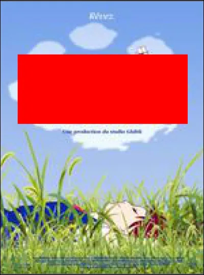 Quel est ce film d'animation japonais ?