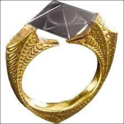 Que cherchent Harry et Dumbledore ?