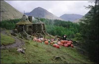 Qui a détruit la cabane de Hagrid ?