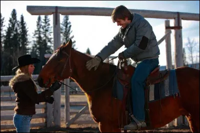 Si ton cheval a bien travaillé, il faut le caresser pour le récompenser.