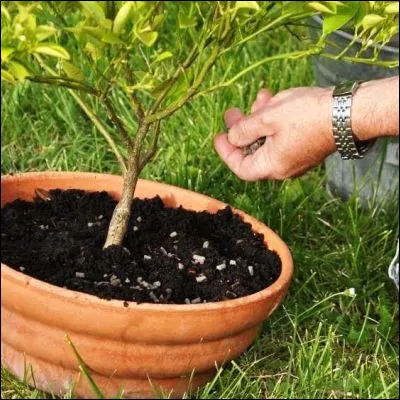 Quel résidu peut être utilisé comme engrais ou répulsif en jardinage et comme outil de divination ?