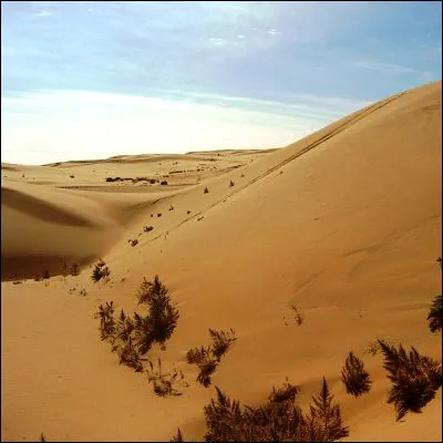 En dehors des continents polaires, quel est le désert le plus froid du monde ?