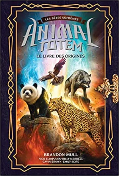 Tu aimerais avoir les yeux...