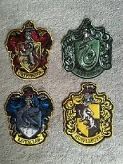 Quelle maison préfères-tu ?