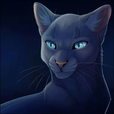 Comment s'appelle le petit d'Étoile Bleue qui est devenu chef ?