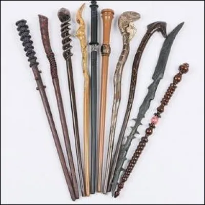 Quelle est sa baguette ?