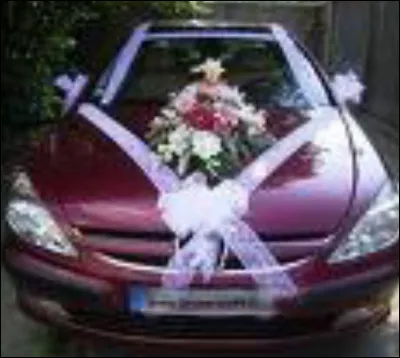 Quelle est la marque de cette voiture d'origine française ?