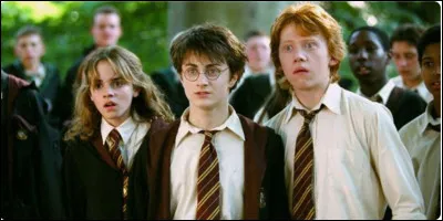 Quel est le vrai nom de Ron ?