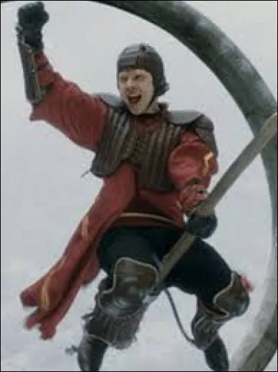 Dans ''Harry Potter et le prince de sang-mêlé'', Ron Weasley est le gardien des Gryffondor.
