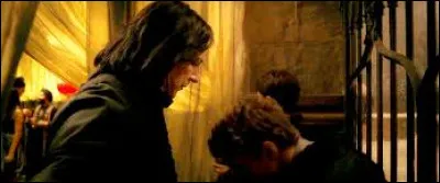 Dans ''Harry Potter et le prince de sang-mêlé'', Ron Weasley a vomi sur les chaussures du professeur Rogue car Harry lui a fait croire qu'il avait mangé les boules du dragon.