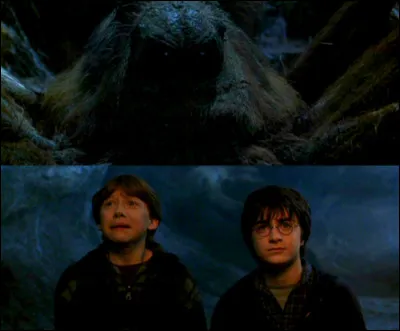Ron Weasley a la phobie des araignées.