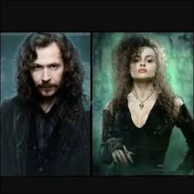 Bellatrix Lestrange est la demie-sœur de Sirius Black.