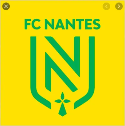 Quel est le maillot domicile du FC Nantes ?