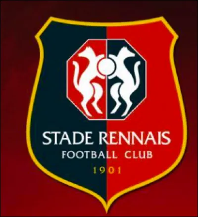 Quel est le maillot domicile du Stade rennais FC ?