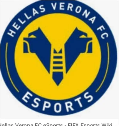 Quelles sont les couleurs du maillot domicile de Verona FC ?