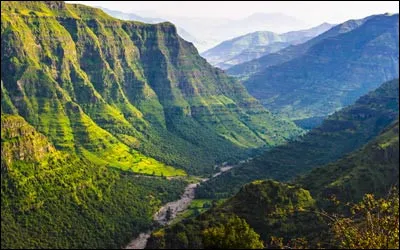 En Éthiopie, combien d'hectares de récoltes ont-ils été ravagés par les criquets ?