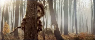 Comment se nomme le petit garçon qui rencontre les Maximonstres dans le film de Spike Jonze ?