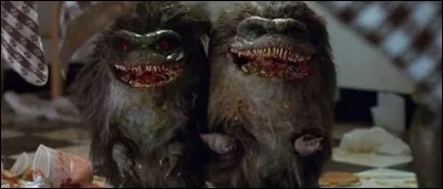 Quelles sont ces horribles boules de poils ?