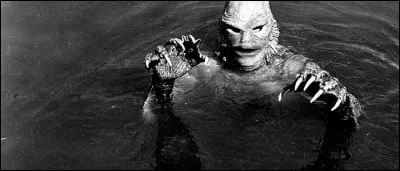 Dans quel lagon habite cette « étrange créature » ?