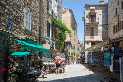 Petite ville de 3 200 habitants du département de la Corse-du-Sud, située sur les hauteurs, à 10 km du littoral, "la plus corse des villes corses" selon Prosper Mérimée :