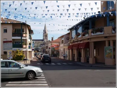 Ville de 7 800 habitants du département des Landes, située sur les bords de son étang, dans la petite région du Marensin :