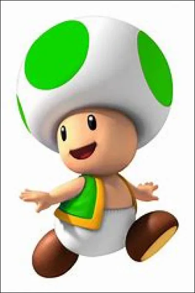 Dans quel manoir se trouve le Toad vert ?