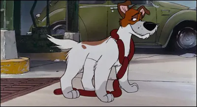 Quel est le nom du chien qui décide de prendre Oliver sous son aile dans "Oliver & Cie" ?