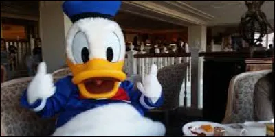 Quel est ce personnage de Disney ?