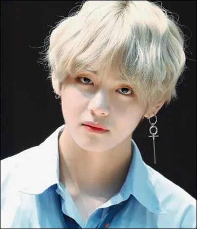 Comment surnomme-t-on Tae-hyung ?