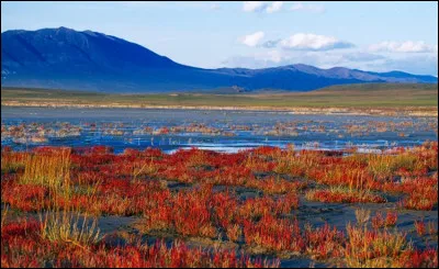 Le Touva est une république qui est l'un des trois principaux types d'entités fédérées que compte la Russie avec les kraïs et les oblasts. Lequel des trois présente la plus forte autonomie par rapport au gouvernement central de Moscou ?