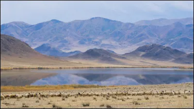 Avec le russe, le touvain est l'autre langue officielle de la République de Touva. À quelle famille de langues le touvain appartient-il ?