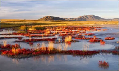 Sur le plan religieux, quel culte, hérité des mongols, la majorité des Touvains pratiquent-ils ?
