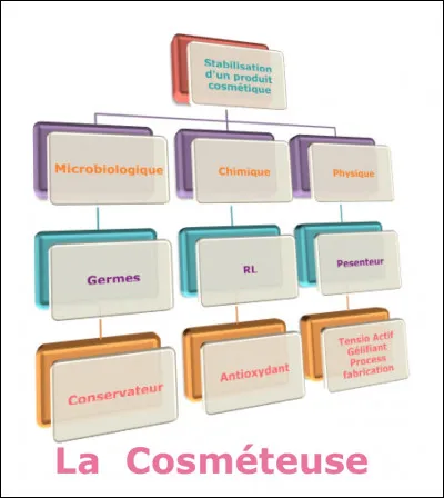 La vitamine E est-elle un conservateur ou un stabilisant ?