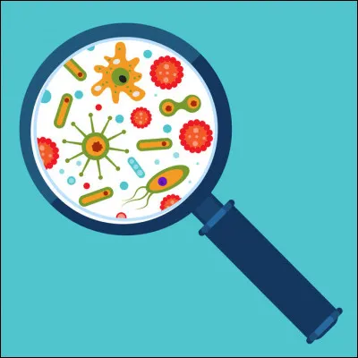 L'extrait de romarin est-il un antioxydant ou un conservateur ?