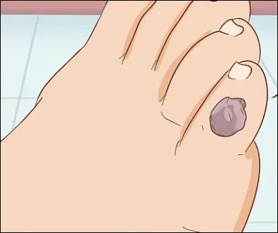 Quel oiseau commence son chant le plus tôt dans la journée ?