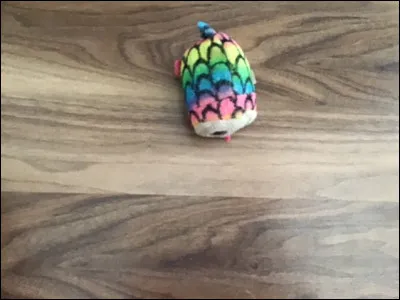 Comment ce Beanis Boos s'appelle-t-il ?