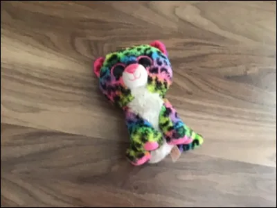 Comment ce Beanis Boos s'appelle-t-il ?