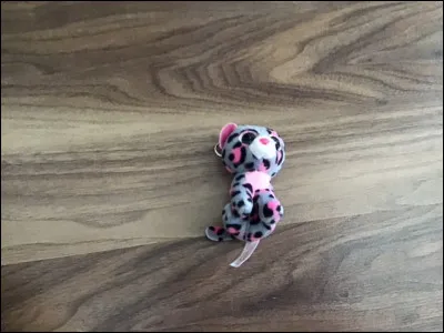 Comment ce Beanis Boos s'appelle-t-il ?